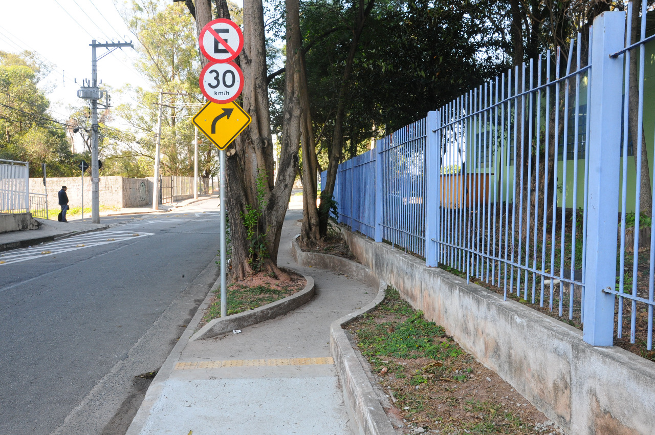 Abacateiro de grande porte na calçada em Guarulhos 02 