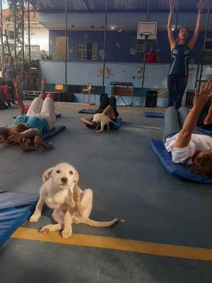 Aula de pilates com filhotes de cachorros movimenta o Centro de Convivência  do Idoso Gopoúva
